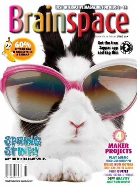 Brainspace – Spring 2019 Cover