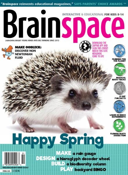 Brainspace – Spring 2020 Cover
