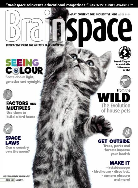 Brainspace – Spring 2021 Cover