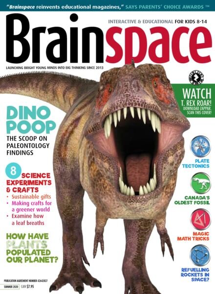 Brainspace – Summer 2020 Cover