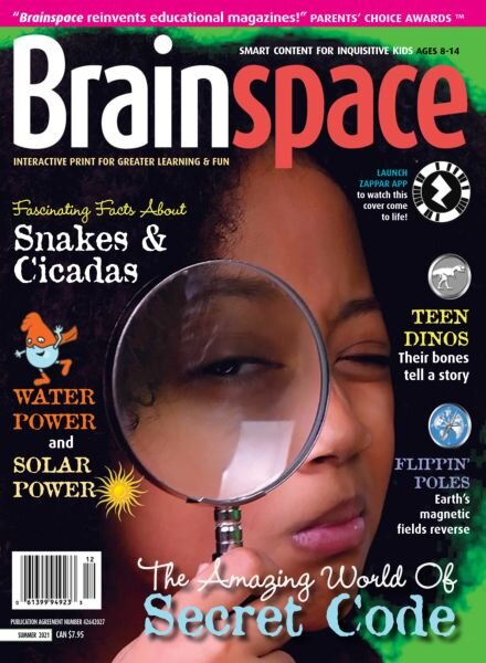 Brainspace – Summer 2021 Cover