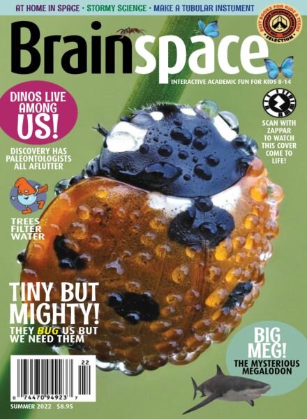 Brainspace – Summer 2022 Cover