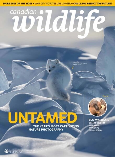 Canadian Wildlife – March-April 2026 Cover