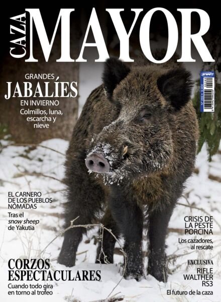 Caza Mayor – 15 Febrero 2026 Cover