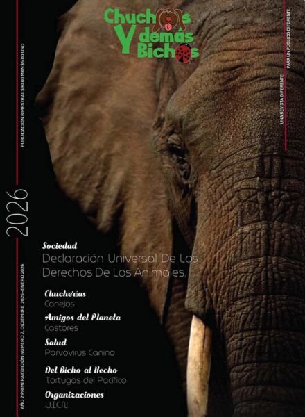 Chuchos y Demas Bichos – Diciembre 2025 – Enero 2026 Cover