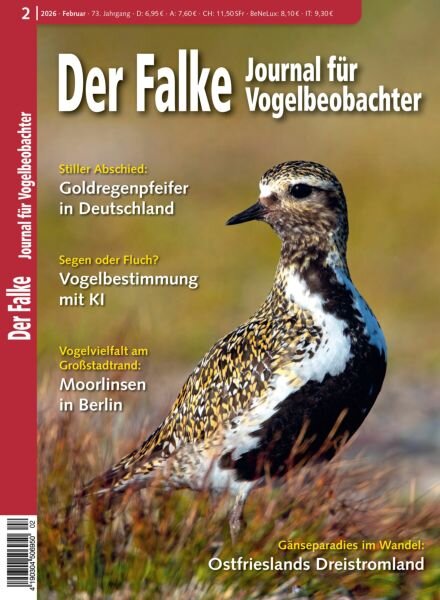 Der Falke Journal fur Vogelbeobachter – Februar 2026 Cover