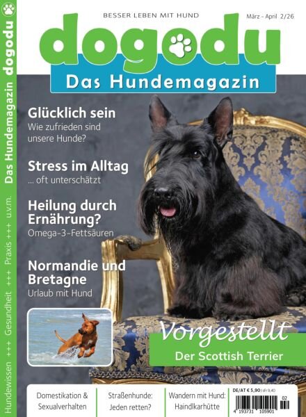 dogodu – Februar 2026 Cover
