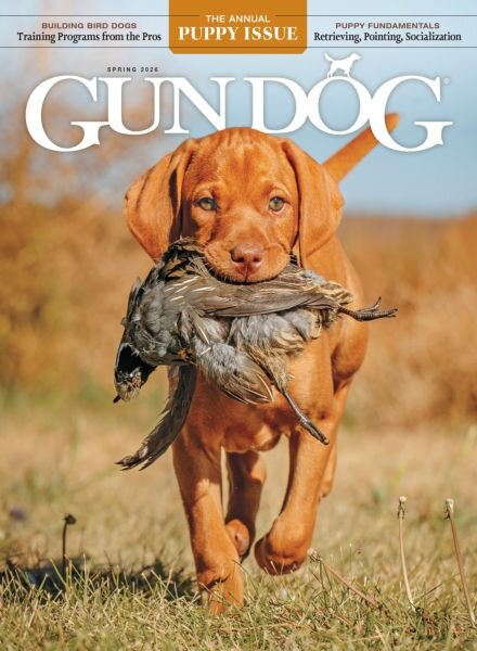 Gun Dog – March-April-May 2026 Cover