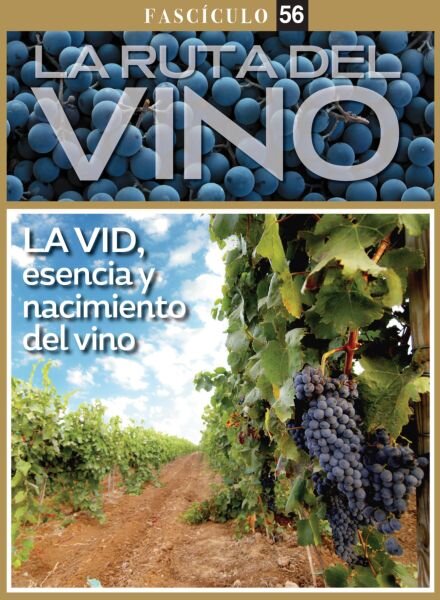 La ruta del Vino – Febrero 2026 Cover