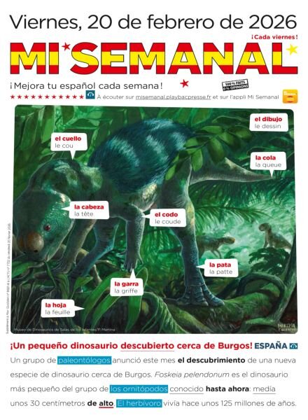 Mi Semanal – 20 Febrero 2026 Cover