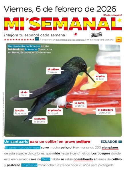 Mi Semanal – 6 Febrero 2026 Cover