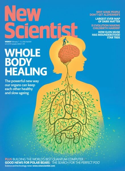 New Scientist USA – February 7 2026 Cover
