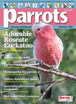 Parrots – February 2026
