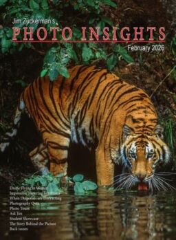 Photo Insights – February 2026