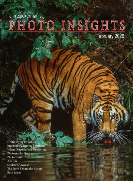 Photo Insights – February 2026 Cover