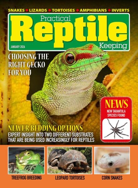 Practical Reptile Keeping – January 2026 Cover