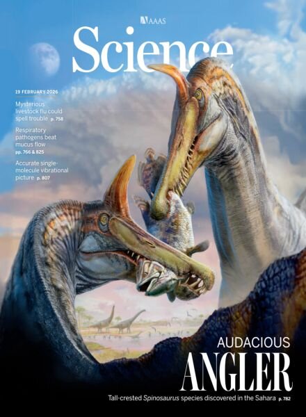 Science – February 19 2026 Cover
