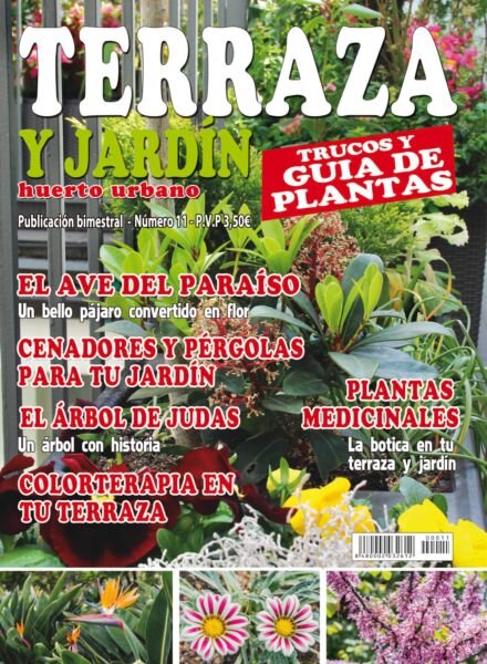 Terraza y Jardin – Enero 2026 Cover