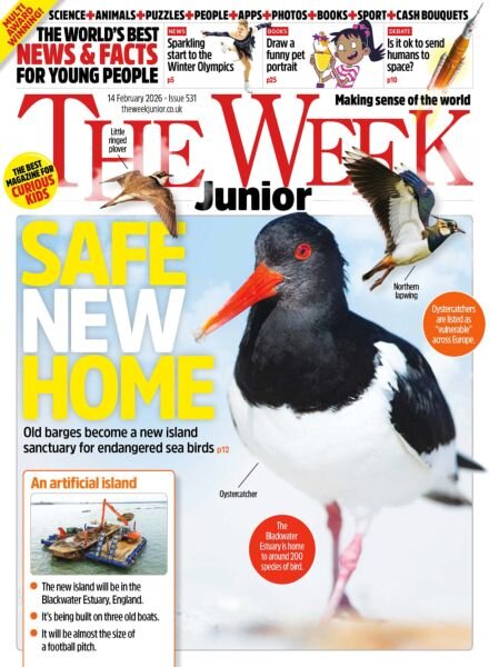 The Week Junior UK – 13 February 2026 Cover