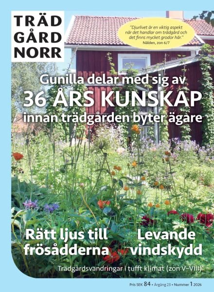 Tradgard Norr – 30 Januari 2026 Cover