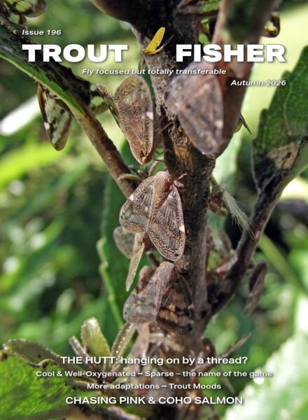 Trout Fisher – Issue 196-Autumn 2026 Cover