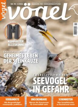 Vogel Magazin – Februar 2026