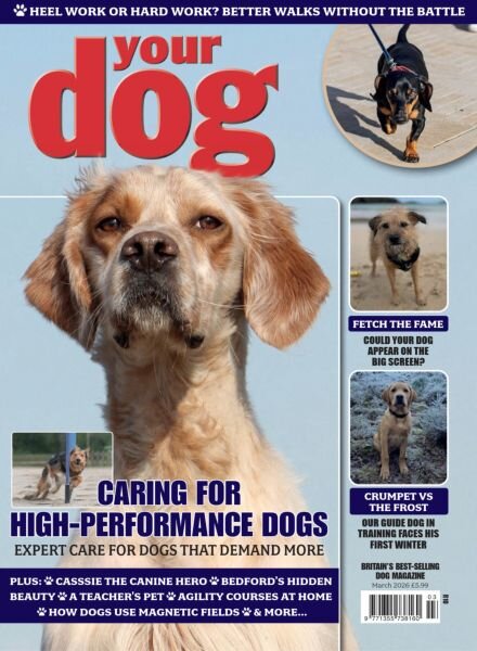 Your Dog – March 2026 Cover
