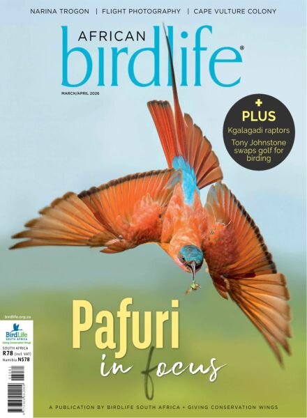 African Birdlife – March-April 2026 Cover