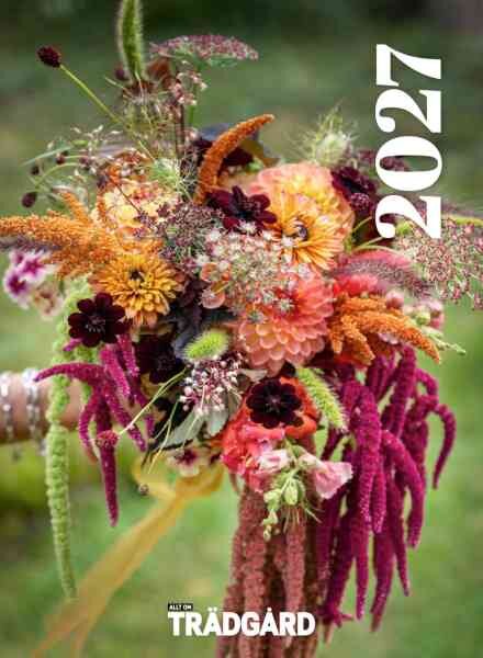 Allt om Tradgard – 27 Mars 2026 Cover