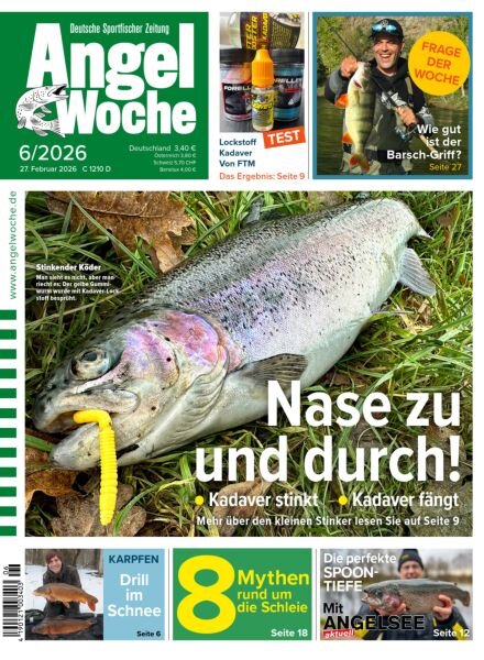 Angel Woche – 27 Februar 2026 Cover