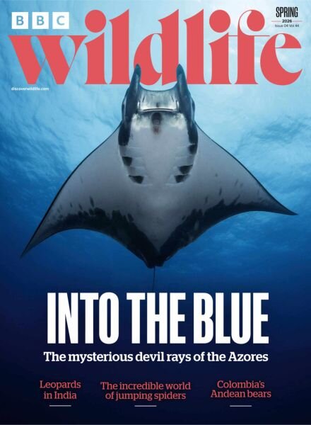 BBC Wildlife – Spring 2026 Cover
