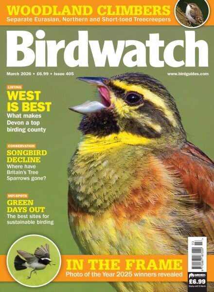 Birdwatch UK – March 2026 Cover