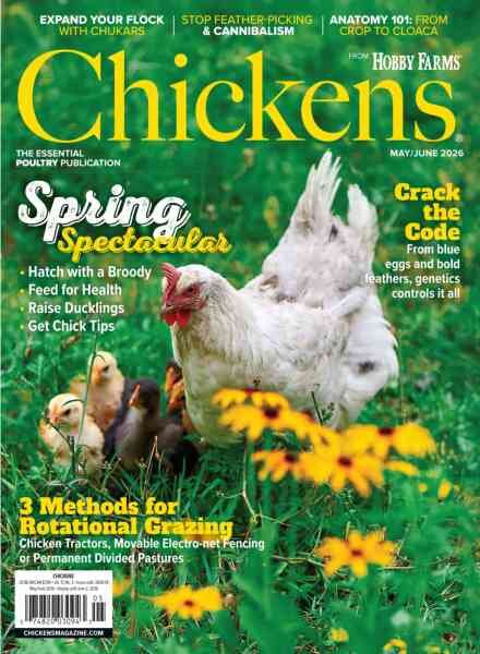 Chickens – May-June 2026 Cover