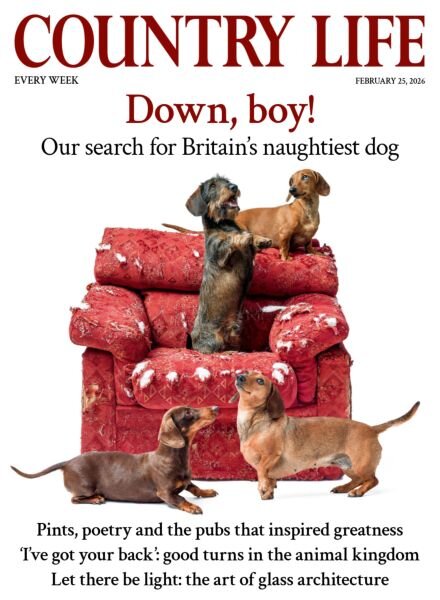Country Life UK – February 25 2026 Cover