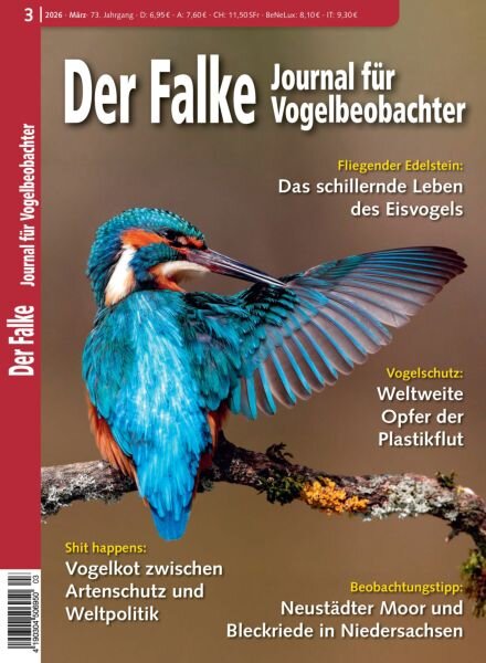 Der Falke Journal fur Vogelbeobachter – Marz 2026 Cover