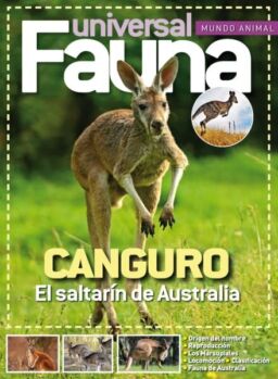Fauna Universal – Febrero 2026
