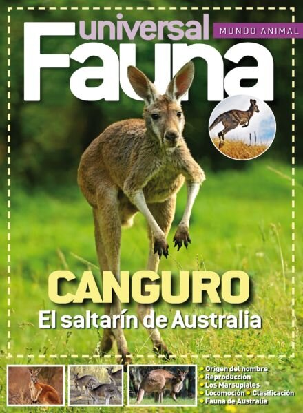 Fauna Universal – Febrero 2026 Cover