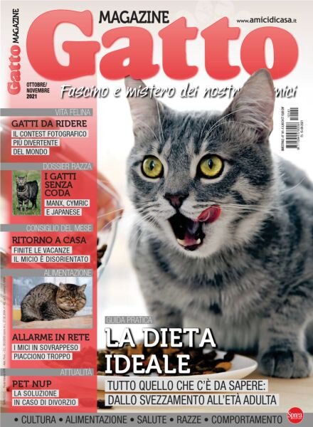 Gatto Magazine – Ottobre-Novembre 2021 Cover