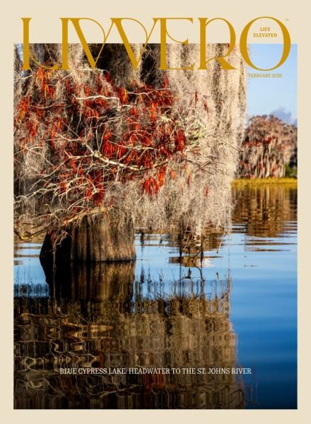 Liv Vero Magazine – February 2026 Cover
