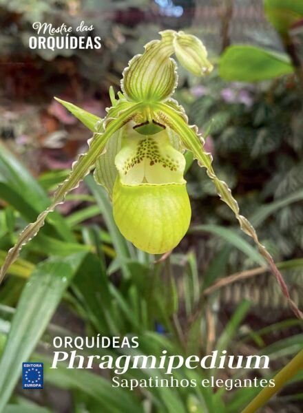 Mestre das Orquideas – Edicao 26 026 Cover