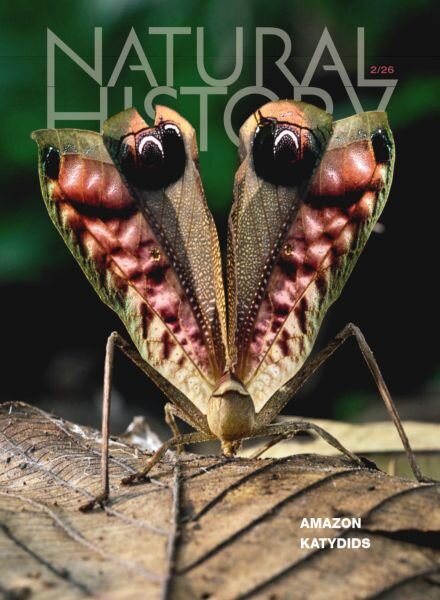 Natural History – February 2026 Cover