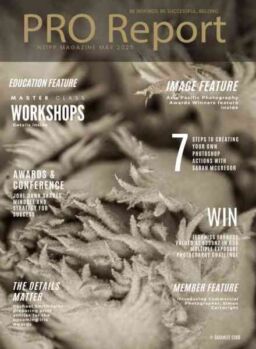 Nzipp Pro Report – May 2025