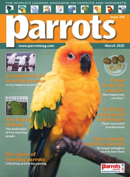 Parrots – March 2026 Cover