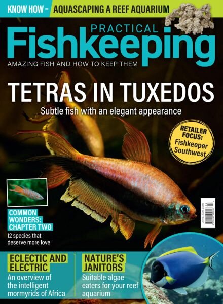 Practical Fishkeeping – April 2026 Cover