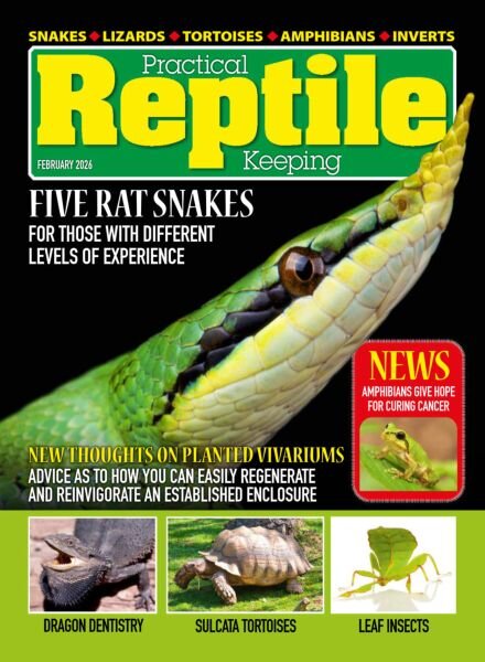 Practical Reptile Keeping – February 2026 Cover
