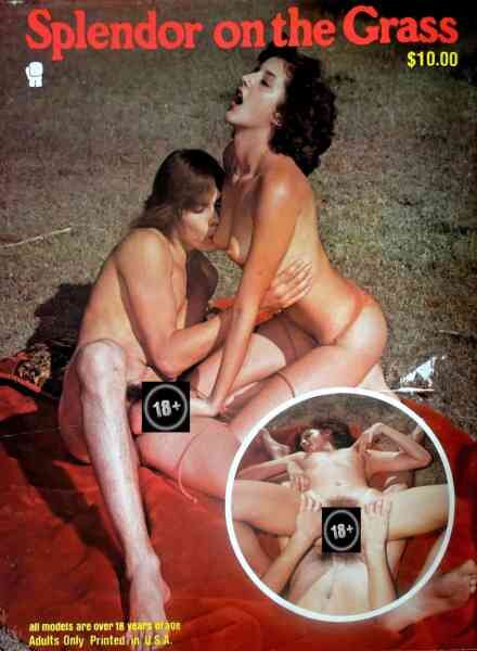 Splendor On The Grass 1970 Cover