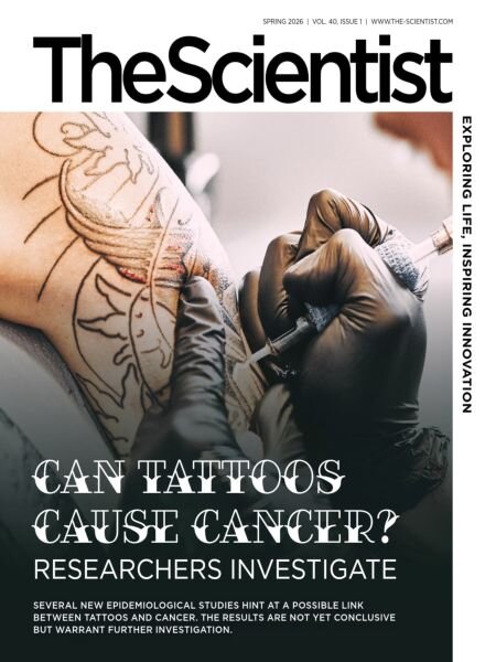 The Scientist – Spring 2026 Cover