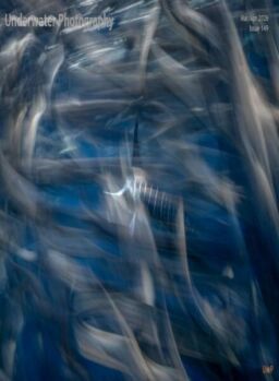 Underwater Photography – March-April 2026