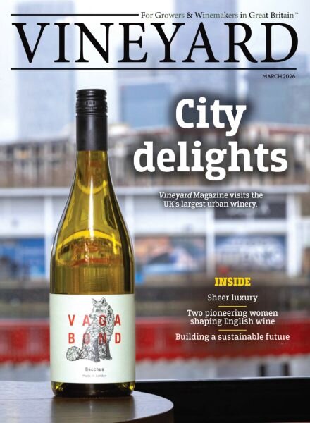 Vineyard – March 2026 Cover