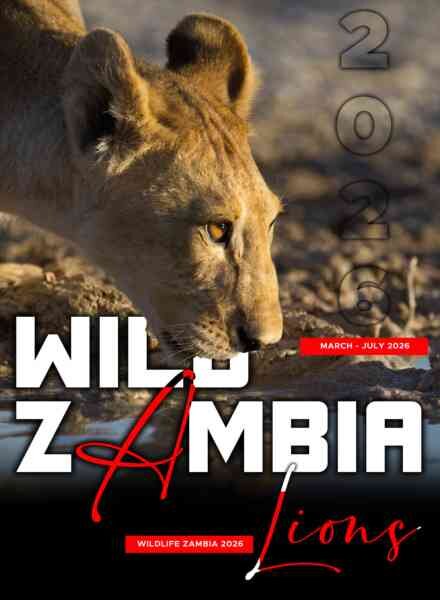 Wild Zambia Magazine – March-July 2026 Cover